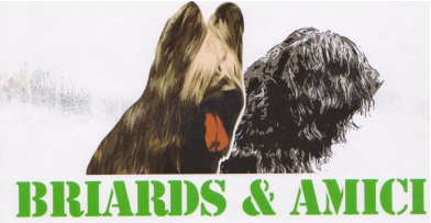 Immagine 2023-06-20 125104